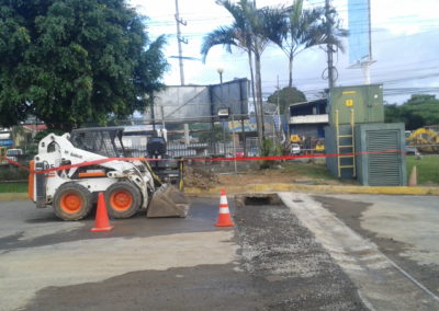 Proyecto Energía Dos Pinos