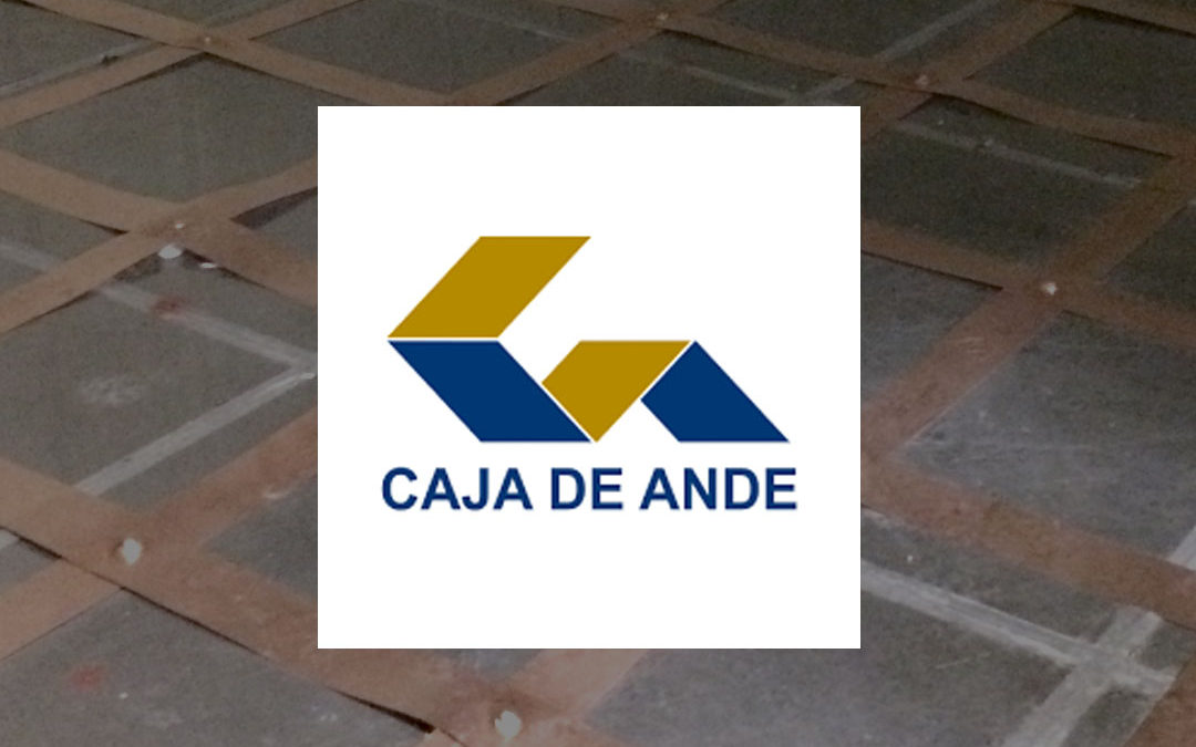 Caja de Ande