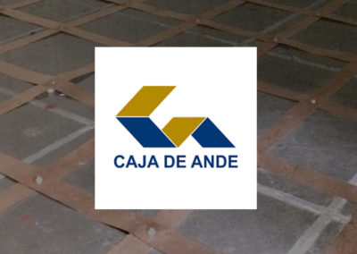 Caja de Ande